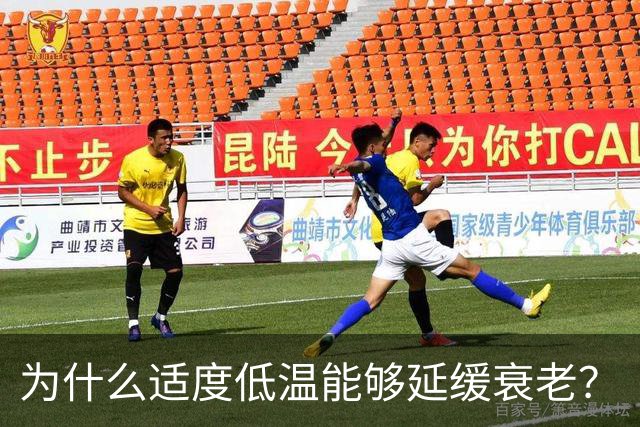 为什么适度低温能够延缓衰老？