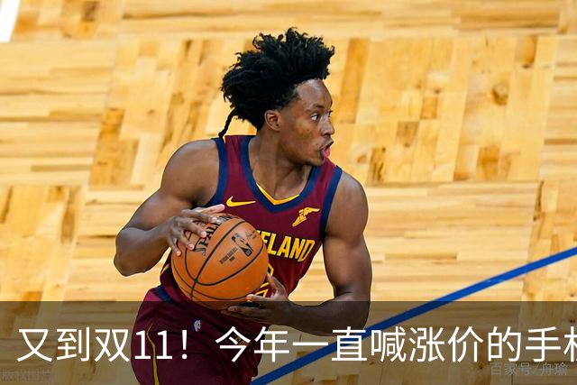 又到双11！今年一直喊涨价的手机终于降价了