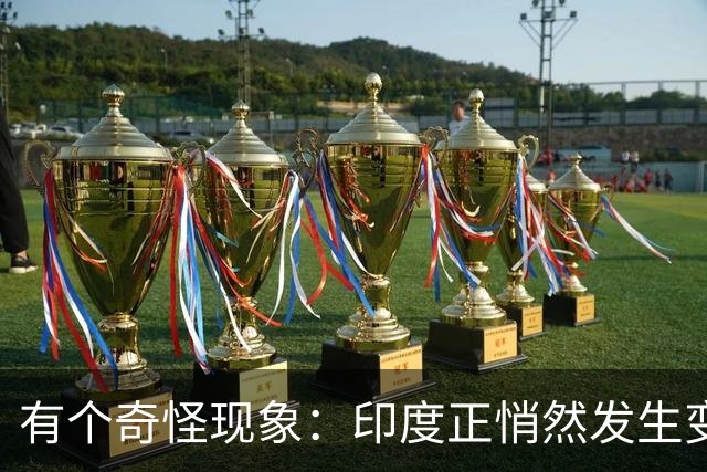有个奇怪现象：印度正悄然发生变化，我们竟视而不见，毫无危机感
