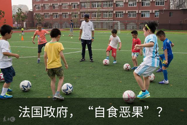 法国政府，“自食恶果”？