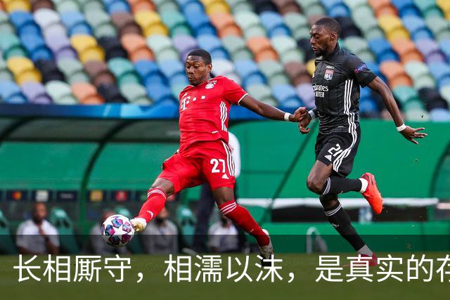长相厮守，相濡以沫，是真实的存在吗？